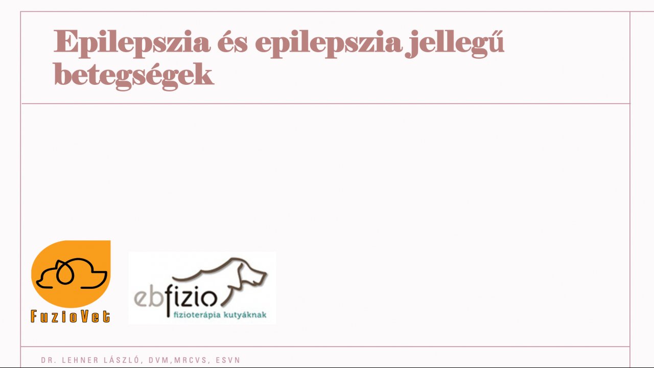 Epilepszia és epilepszia jellegű betegségek