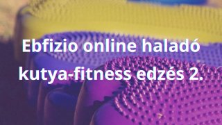 Ebfizio online haladó kutya-fitness edzés 2.